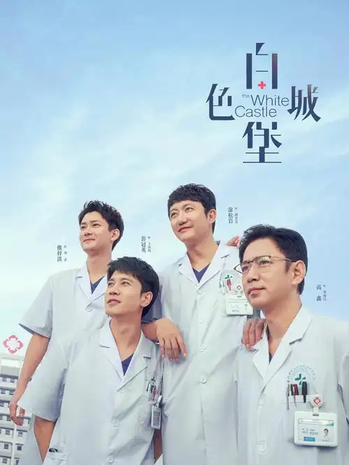 第九个证人剧集海报 - 青柠影院